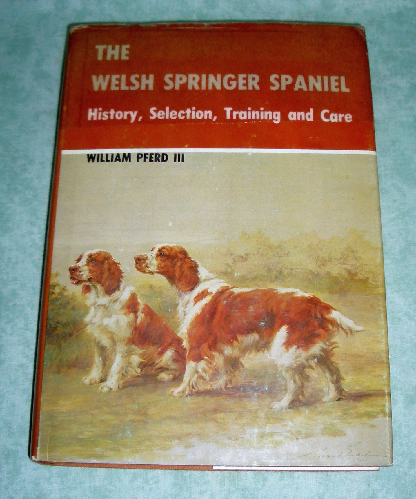 Welsh Springer Spaniel