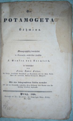 Potamogeta Böhmens