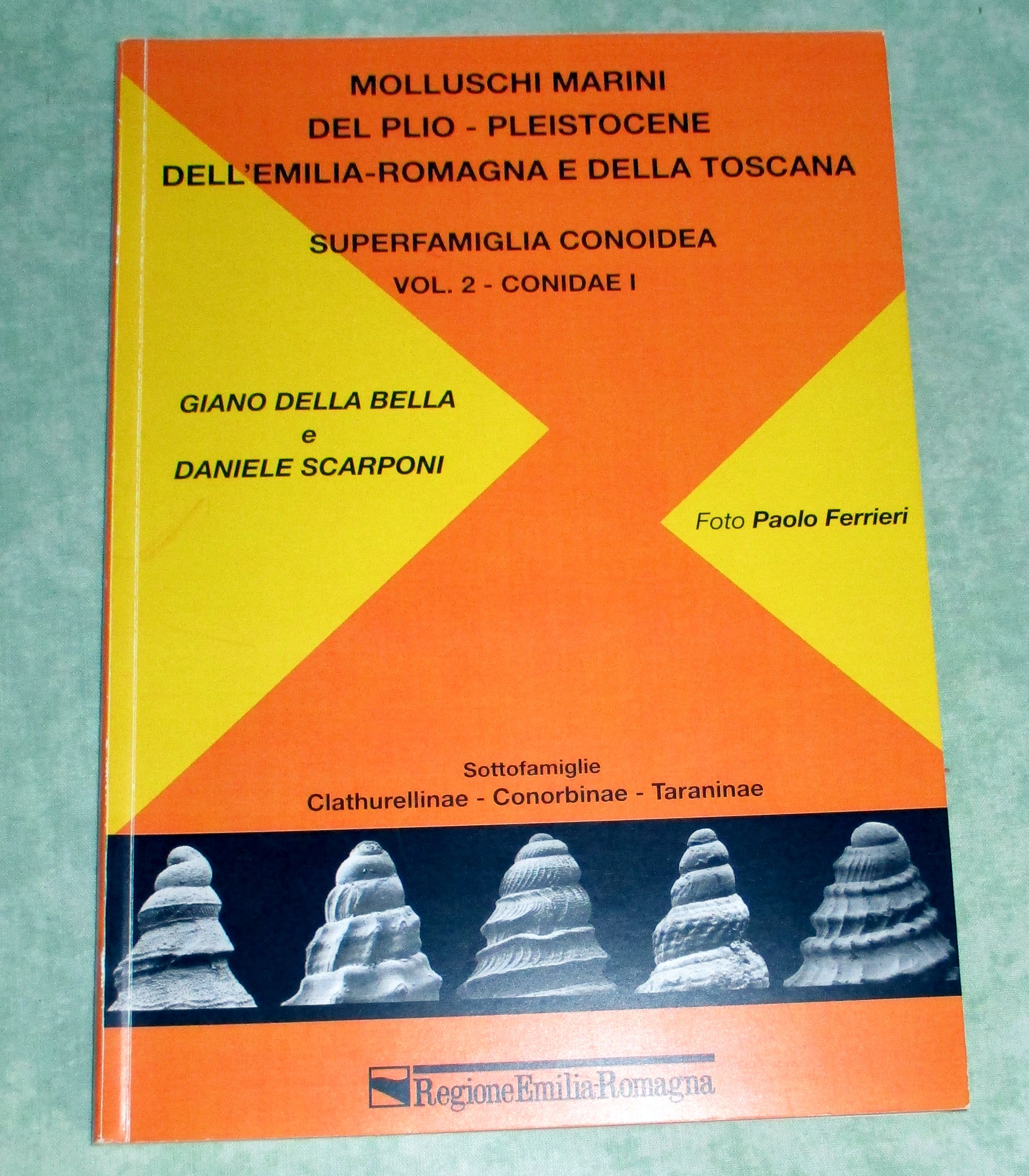 Molluschi Marini