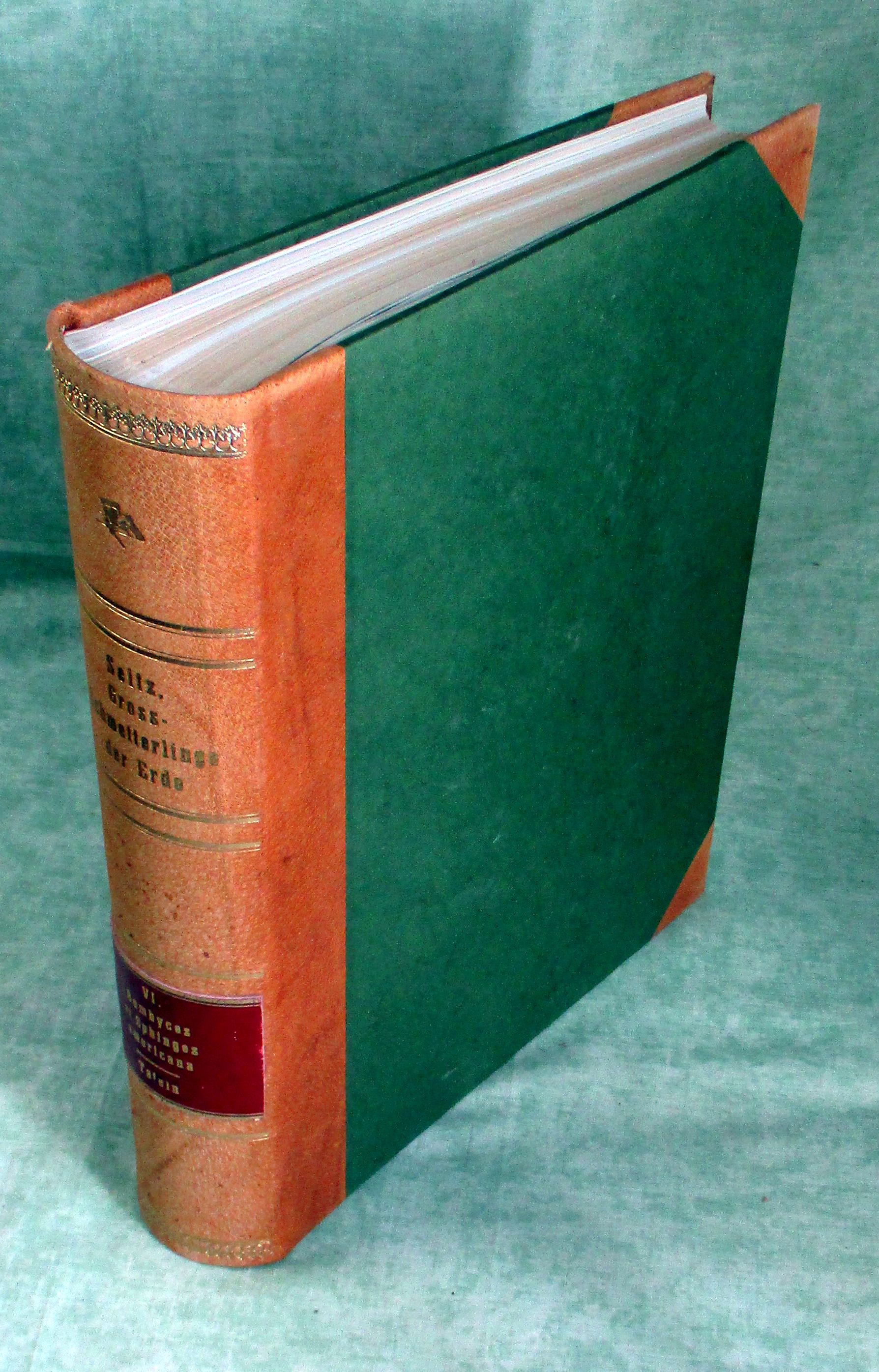 38206A.jpg