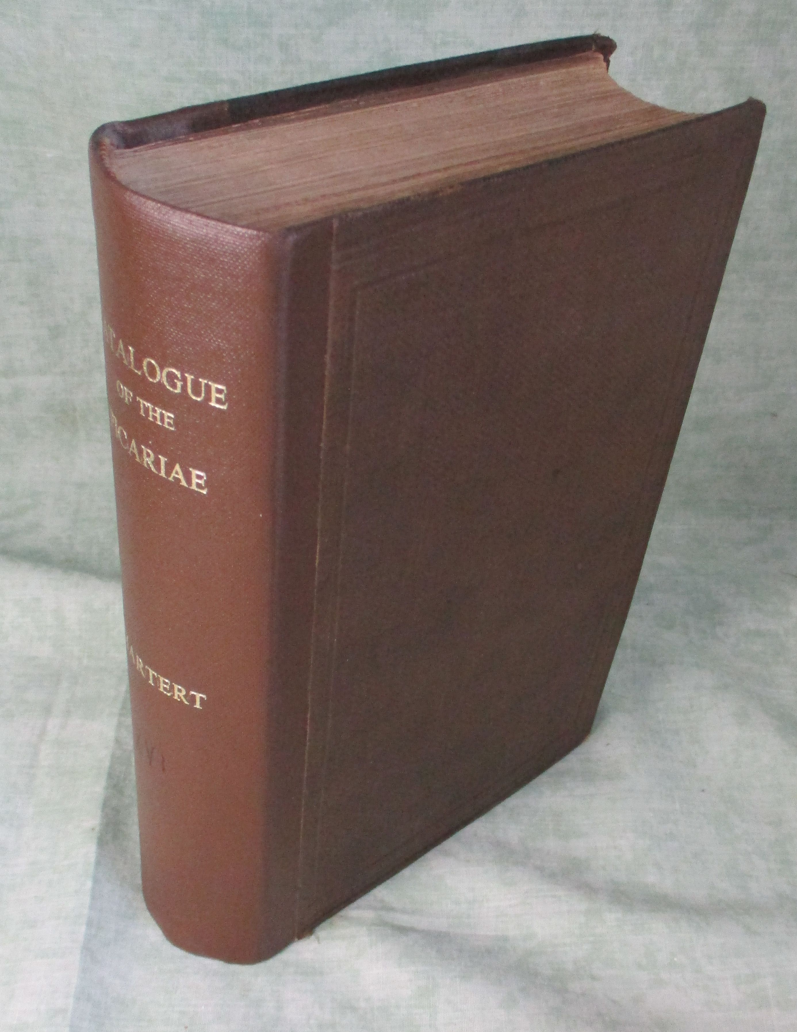 38302A.jpg