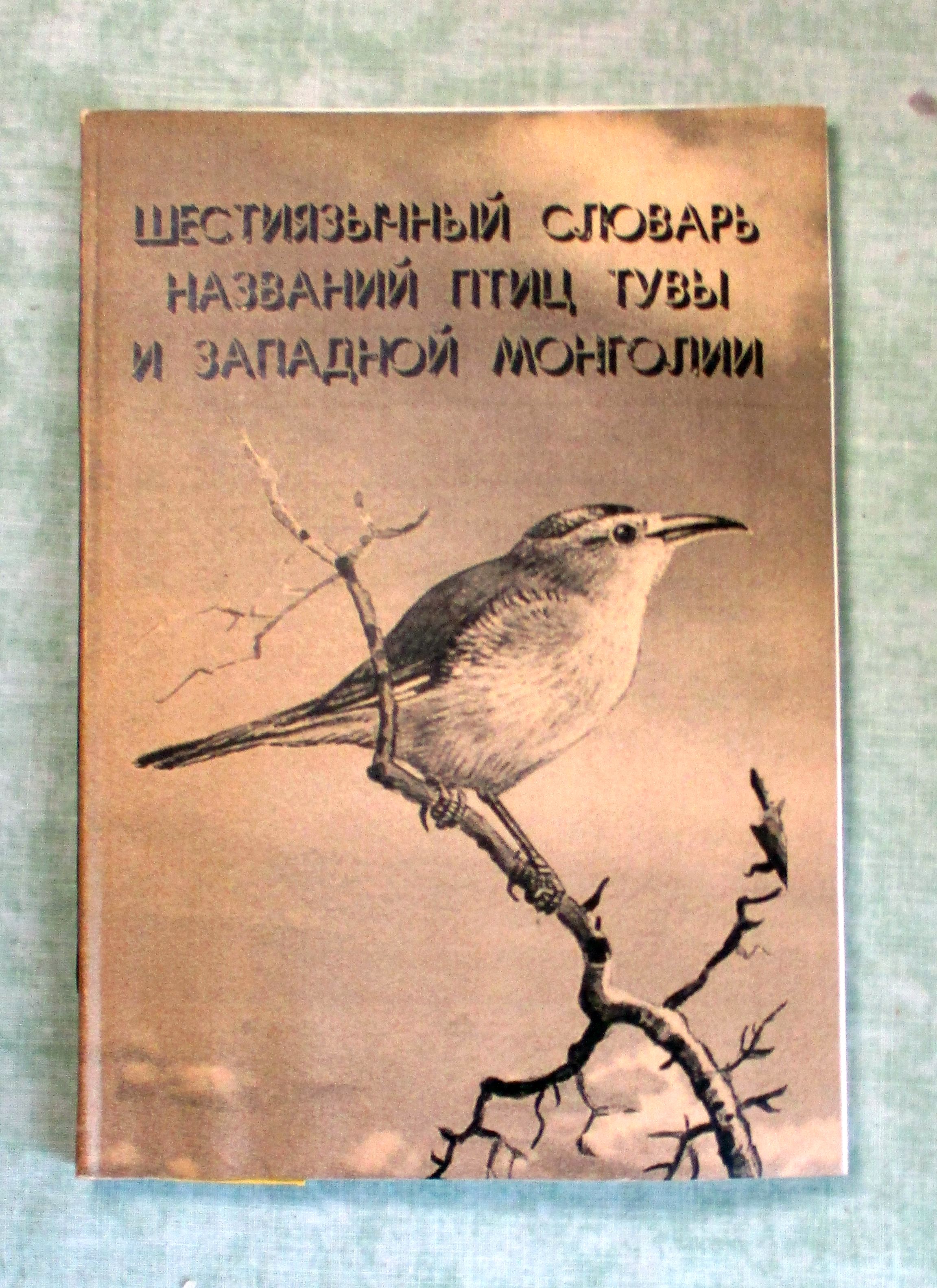 38337A.jpg