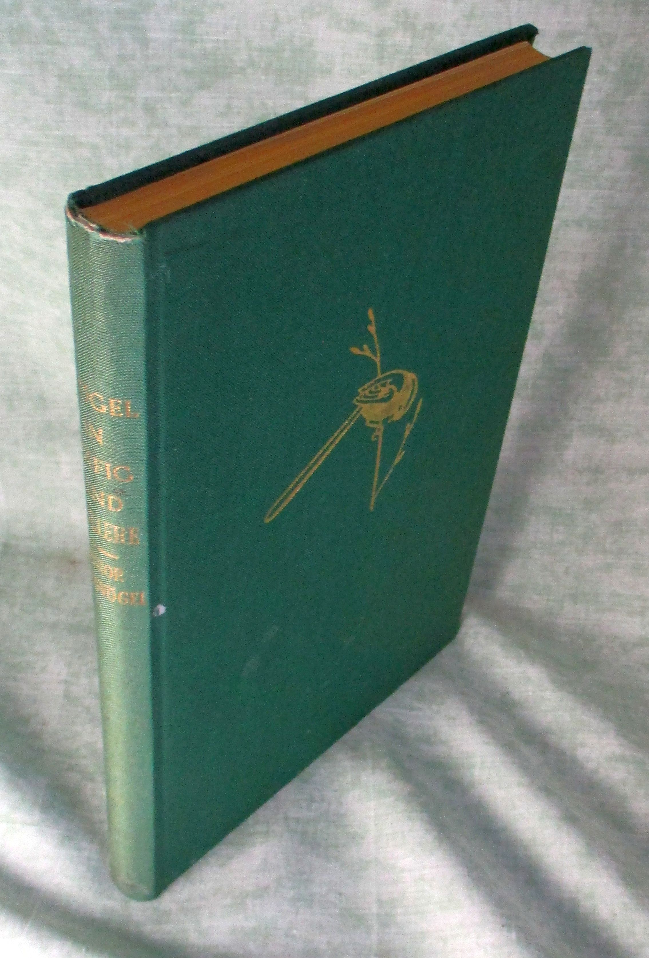 6178A.jpg