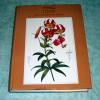 Redoute, Lillies